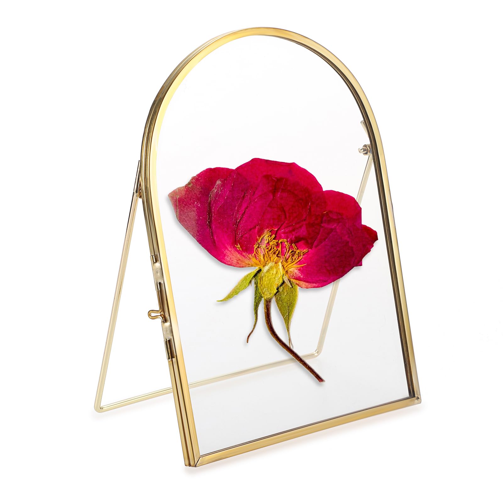 Sumtree Bilderrahmen